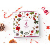 Coffret Gourmand de Noël 4 saveurs BIO* - 40 sachets