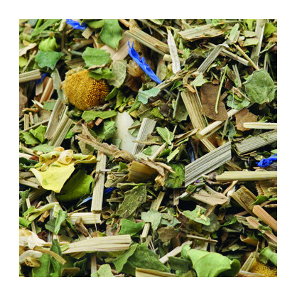 Elsass RELAX - Infusion Gourmande